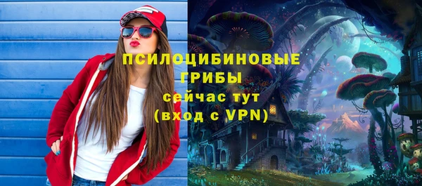 ПСИЛОЦИБИНОВЫЕ ГРИБЫ Абдулино